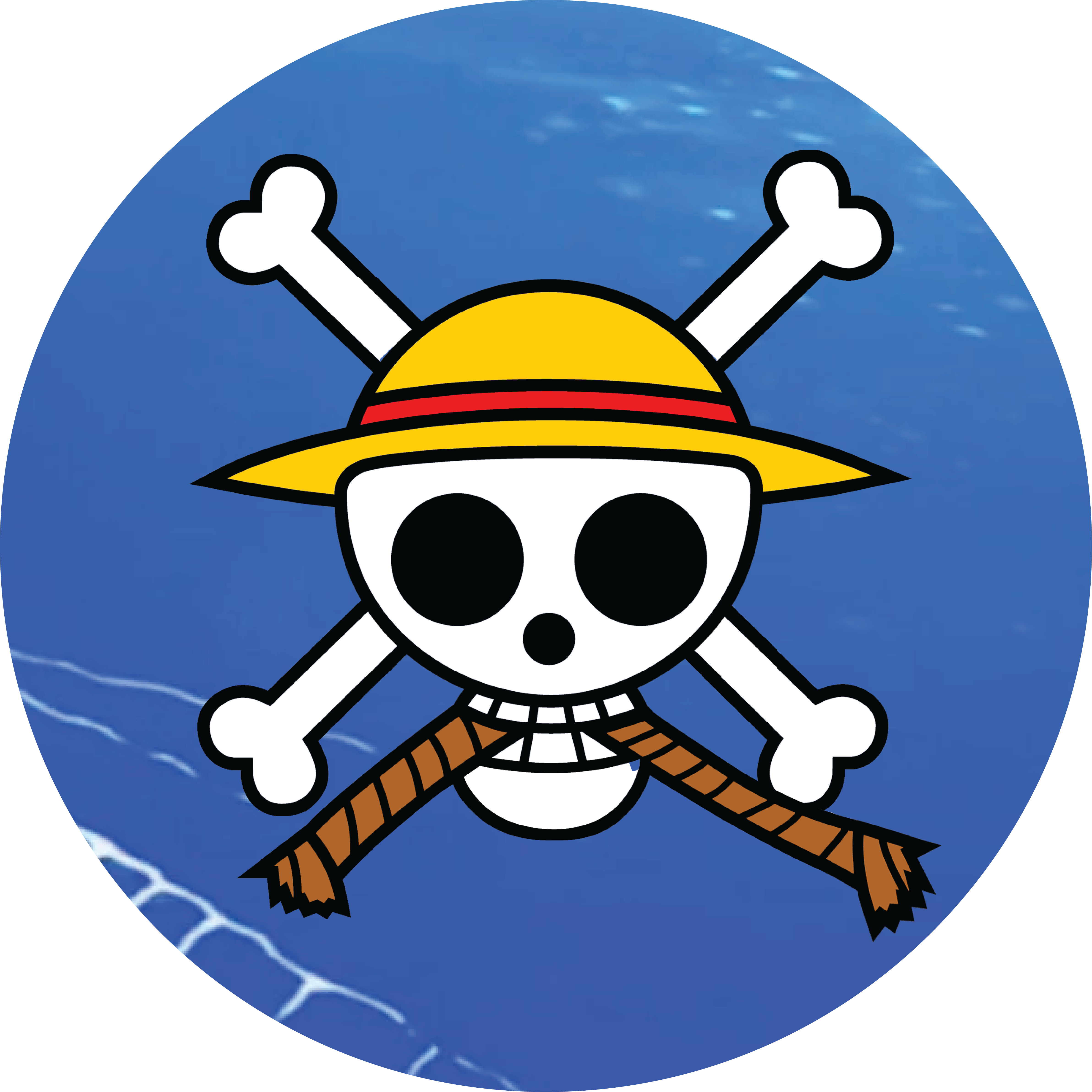 One Piece Trivia